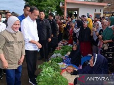 Pedagang Sayur Bertemu Jokowi di Pasar Bulukumba, Begini Kesannya