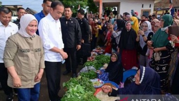 Pedagang Sayur Bertemu Jokowi di Pasar Bulukumba, Begini Kesannya