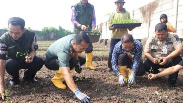 Cabai Hasil Kelompok Wanita Tani Tangerang Dijual ke Pasar Induk