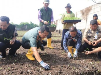 Cabai Hasil Kelompok Wanita Tani Tangerang Dijual ke Pasar Induk
