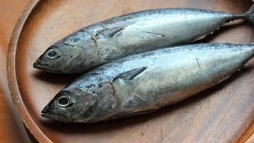 Apakah Tuna Kalengan Sehat? Berikut 9 Manfaat dan Risikonya