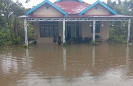Banjir di Morowali, Luapan Sungai dan Pasang Paksa Warga Mengungsi