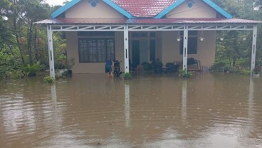 Banjir di Morowali, Luapan Sungai dan Pasang Paksa Warga Mengungsi