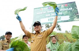 Program Pro Rakyat Dadang Supriatna Puaskan Masyarakat