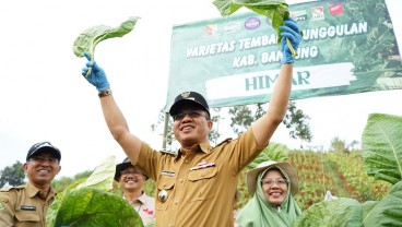 Program Pro Rakyat Dadang Supriatna Puaskan Masyarakat