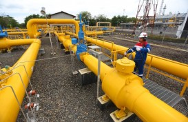 Pemerintah Disarankan Cabut HGBT Jika Ingin Terapkan DMO Gas 60%