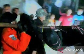 Tambang Longsor di Gorontalo, Korban Ditemukan Meninggal 23 Orang