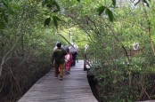 Kunjungan ke Kebun Raya Mangrove Surabaya Meningkat