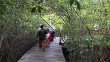 Kunjungan ke Kebun Raya Mangrove Surabaya Meningkat