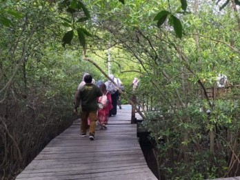 Kunjungan ke Kebun Raya Mangrove Surabaya Meningkat