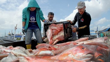 Sulsel Yakin Bisa Kendalikan Harga Ikan saat La Nina, Ini Strateginya