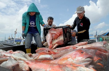 Sulsel Yakin Bisa Kendalikan Harga Ikan saat La Nina, Ini Strateginya