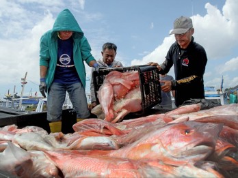 Sulsel Yakin Bisa Kendalikan Harga Ikan saat La Nina, Ini Strateginya