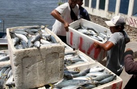 Kelancaran Distribusi Pangan Jadi Kunci Pengendalian Inflasi Sulsel