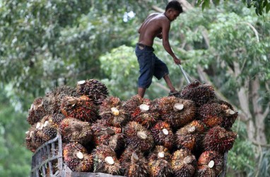 Tugas Makin Banyak, BPDPKS Diminta Adil Kelola Dana Sawit