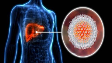 WHO Uji Prakualifikasi Alat Tes Mandiri Hepatitis C