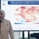 Suhu Indonesia Naik 3,5 Derajat Celsius pada 2100, BMKG Ungkap Bahayanya