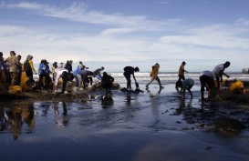 Wujudkan Ekonomi Biru dari Gerakan Bulan Cinta Laut di Padang