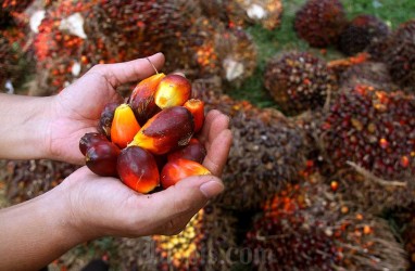 Astra Agro Lestari (AALI) Bakal Bergabung dengan RSPO