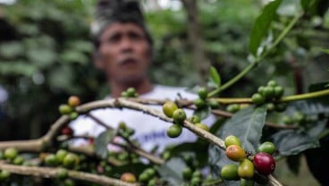 Akses Keuangan Petani di Bali Perlu Diperkuat