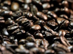 Siap-Siap Harga Kopi Makin Mahal Gara-Gara Kekeringan & La Nina