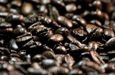 Siap-Siap Harga Kopi Makin Mahal Gara-Gara Kekeringan & La Nina