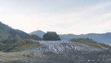 Embun Es Muncul di Bromo Akibat Suhu Turun Ekstrem