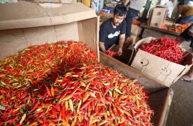 Sebagian Harga Pangan di Cirebon Melonjak, Cabai Merah Paling Signifikan