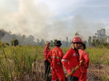 Total Lima Daerah di Sumsel Tetapkan Status Siaga Darurat Karhutla