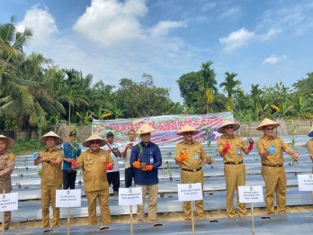 Sumsel Tanam Cabai dan Bawang Merah Serentak di 17 Kabupaten Kota