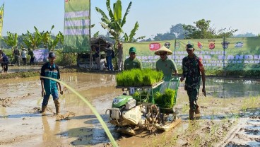 Revitalisasi Lahan oleh Kang DS untuk Penanaman Padi Produktif