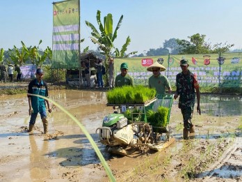 Revitalisasi Lahan oleh Kang DS untuk Penanaman Padi Produktif