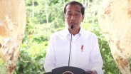 Jokowi Bertemu Presiden MBZ, Bahas Kelanjutan Investasi pada Era Prabowo