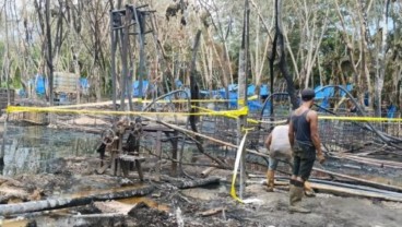 Pengeboran Minyak Ilegal Masih Marak di RI, SKK Migas Bilang Begini