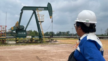 Harga Minyak Berpotensi Mendidih Dipicu Pelonggaran Suku Bunga AS