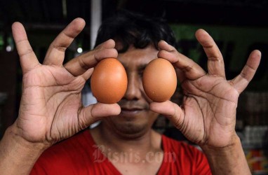 Harga Pangan Hari Ini 19 Juli: Telur Dekati Rp30.000/Kg, Beras dan Cabai Naik