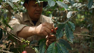 Dampingi Petani Kopi, Pupuk Kujang Raih Penghargaan di tingkat Asia