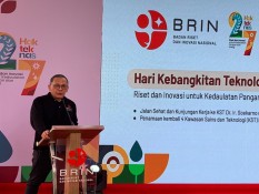 BRIN Gandeng Jepang Kembangkan Bahan Bakar Pesawat Ramah Lingkungan dari Kelapa