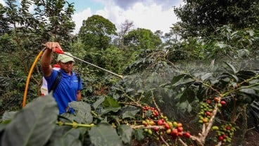 Alokasi Pupuk Subsidi Sumsel Belum Sesuai Harapan, Begini Realisasinya