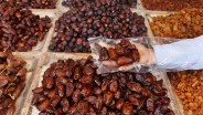 Kurma Tunisia vs Kurma Mesir, Ini Perbedaannya