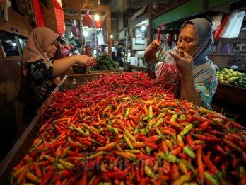 Harga Pangan Hari Ini 21 Juli: Harga Beras Naik, Cabai Rawit Tembus Rp62.000