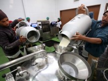 Menakar Pemanis Emiten Produsen Susu dari Rancangan Program Makan Siang Gratis Prabowo