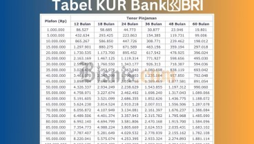 Tabel Angsuran KUR BRI 2024 Plafon 100 Juta