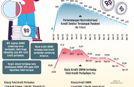 PEMBIAYAAN PERBANKAN    : Target Kredit UMKM Tak Tercapai