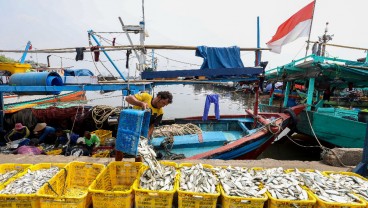 Retribusi TPI Kejawanan Cirebon Capai Rp542,5 Juta