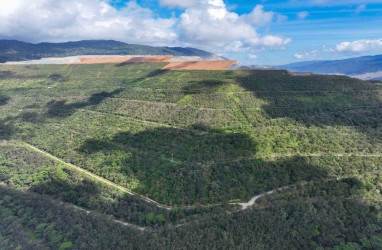 Jelajah Ekonomi Hijau : Kembalinya Ekosistem Hutan di Sekitar Tambang Amman