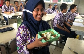 Simulasi Pemangkasan Anggaran Pendidikan & Bansos untuk Makan Siang Gratis