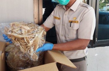 Sebanyak 9,7 Ribu Kg Gelembung Renang Ikan Asal Sumsel Dikirim Hingga Pulau Jawa