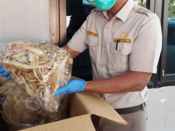 Sebanyak 9,7 Ribu Kg Gelembung Renang Ikan Asal Sumsel Dikirim Hingga Pulau Jawa