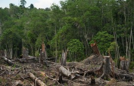 Pengerjaan Jalan Akses Paralayang Internasional di Tahura Kiram Dioptimalkan